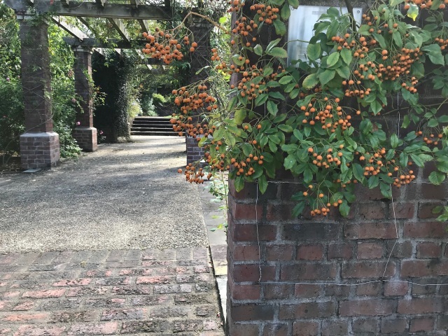 花フェスタ記念公園に行ってターシャの庭を観る_d0101846_23475207.jpeg
