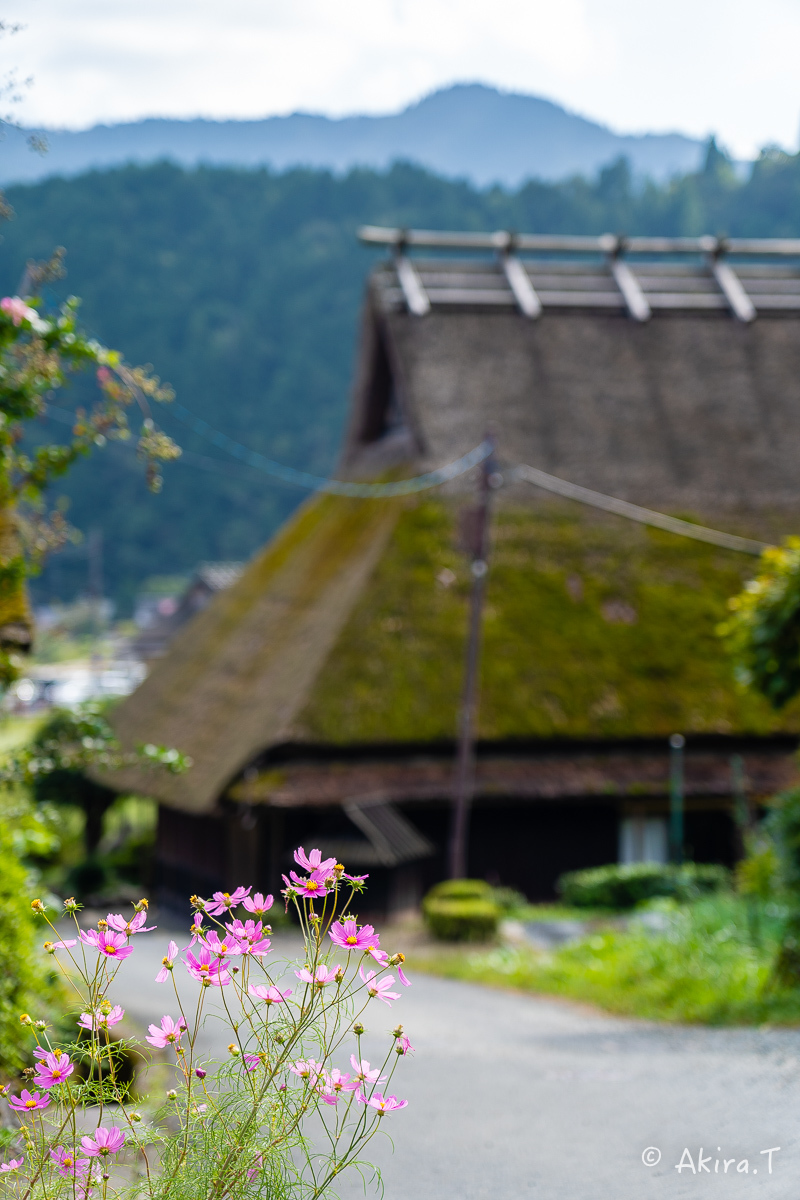 美山かやぶきの里 2019秋 -1-_f0152550_17461372.jpg
