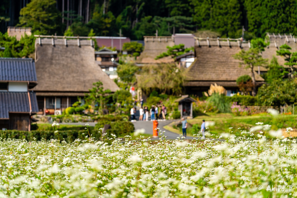 美山かやぶきの里 2019秋 -1-_f0152550_17462683.jpg