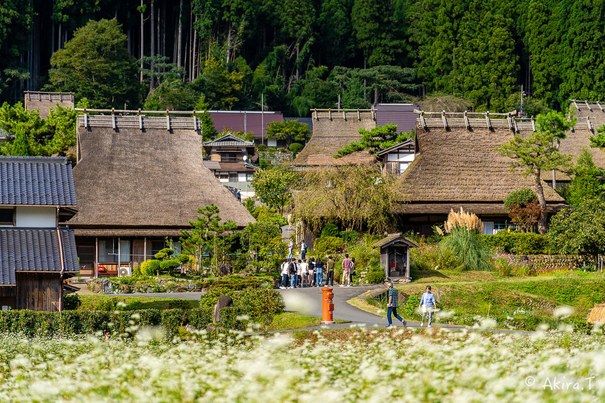 美山かやぶきの里 2019秋 -1-_f0152550_17463506.jpg