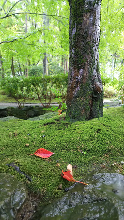 f0043559_1932210.jpg