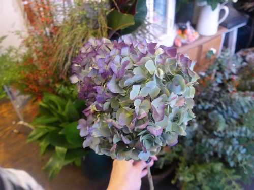 花修行~「鮨 波やし」さんの10月のお花~_f0232060_16234243.jpg