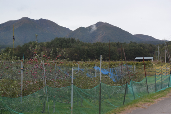 茅ヶ岳_e0167571_1740108.jpg