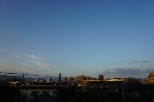 c0169176_07441607.jpg