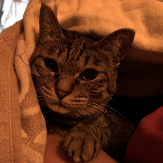 b0377882_00415432.jpeg