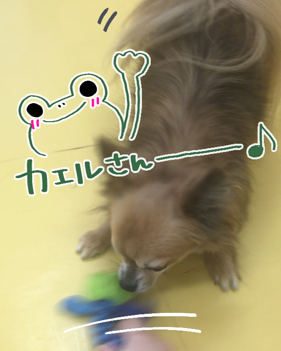 うりゃーーーー!!!_f0357682_03403611.jpg