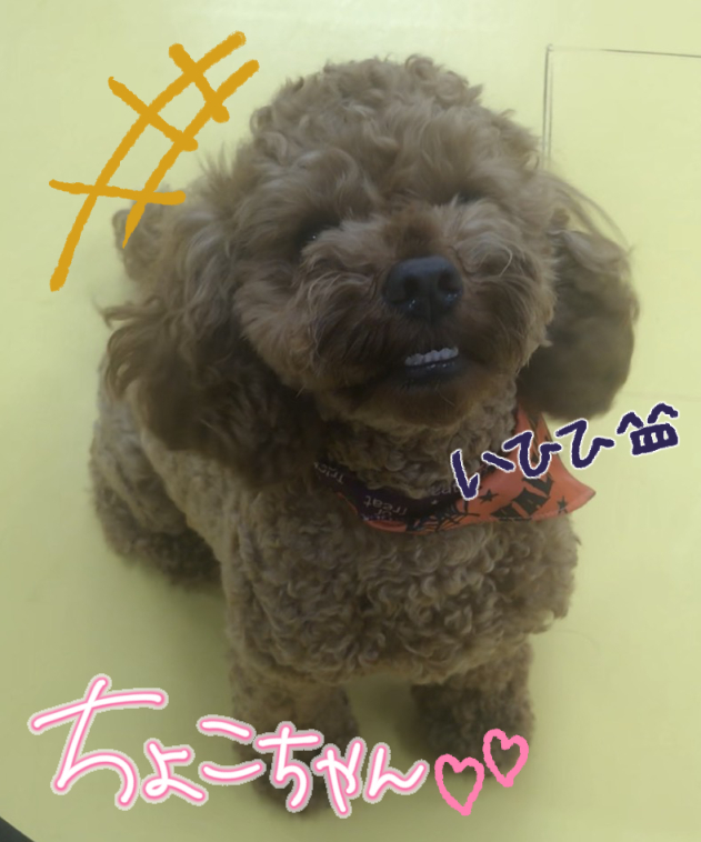 うりゃーーーー!!!_f0357682_03484677.jpg