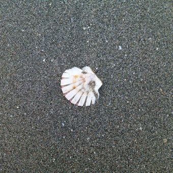 今朝は逗子海岸を走りました。_c0195909_16125632.jpg