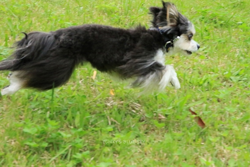 c0145250_12185627.jpg