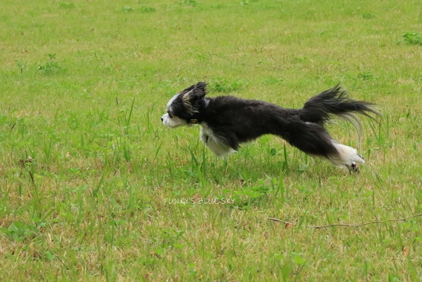 c0145250_12190365.jpg