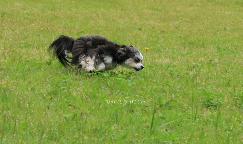 c0145250_12192231.jpg