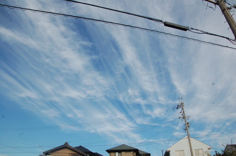 タマネギ植付準備・・・我が家の農園_c0108460_16503114.jpg