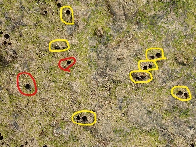 c0180460_18284608.jpg