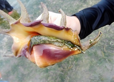 c0180460_18373871.jpg