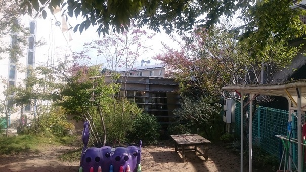 c0133361_11231219.jpg