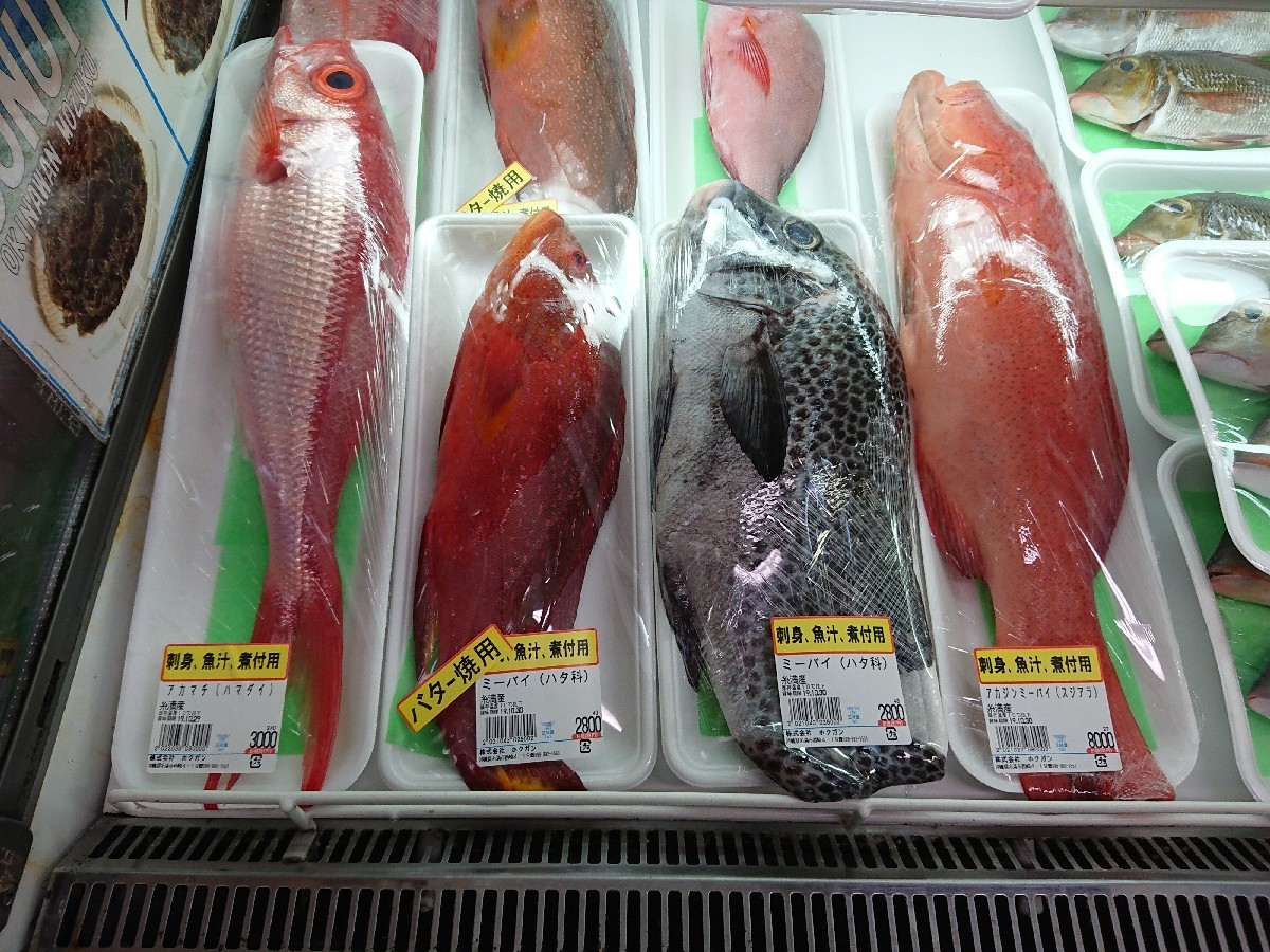おはようモーニング_c0100865_05453754.jpg