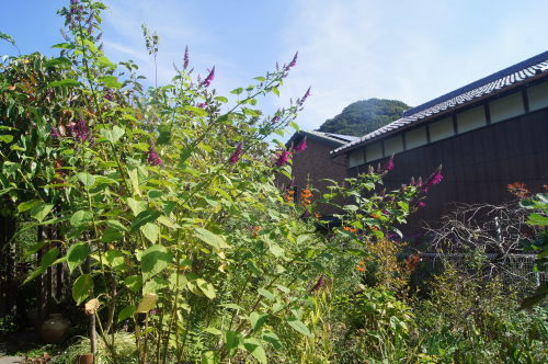 e0181373_21161219.jpg