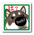 b0057675_11434165.png