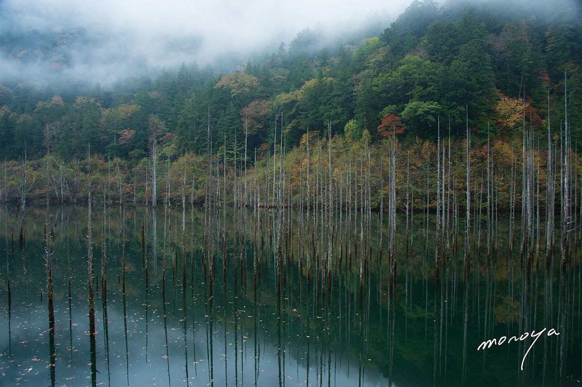 自然湖の秋_c0085877_07011944.jpg