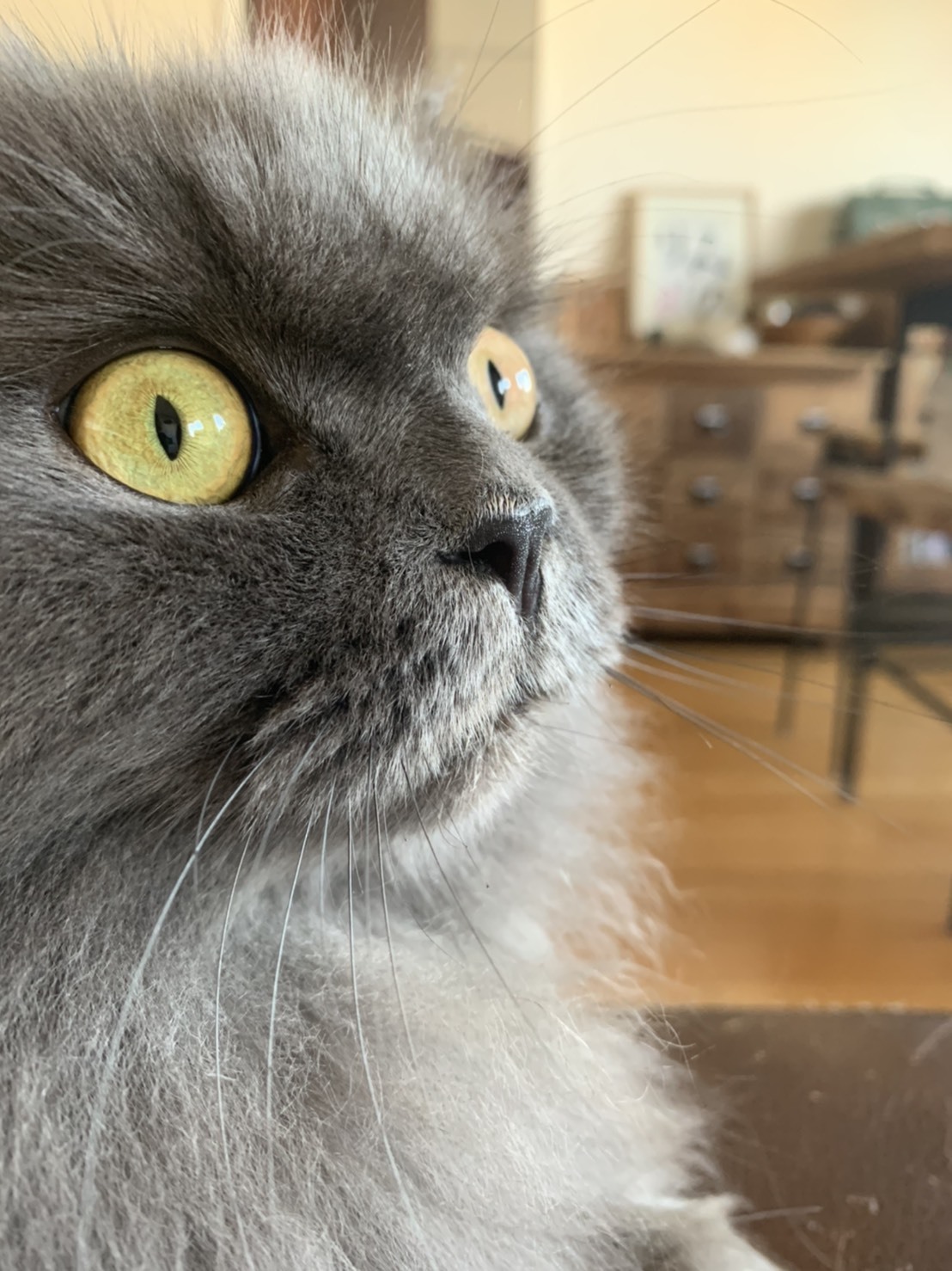 a0258686_07322516.jpeg