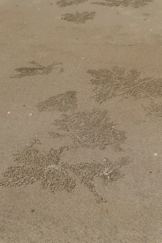 c0090198_19142874.jpg