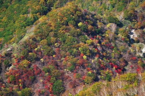 奥日光 半月峠の紅葉2_a0263109_13352712.jpg
