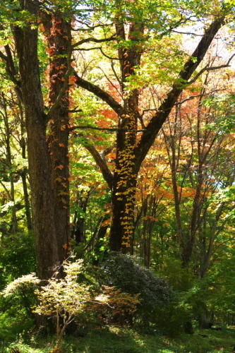 a0263109_17473481.jpg