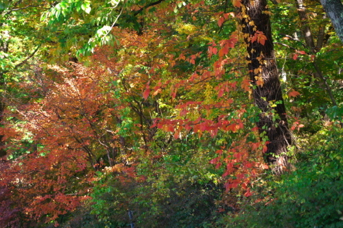 a0263109_17473527.jpg