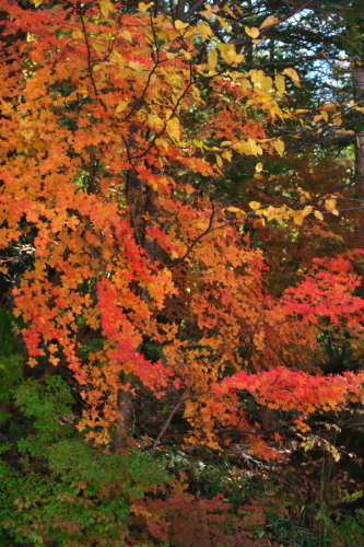 a0263109_17481619.jpg