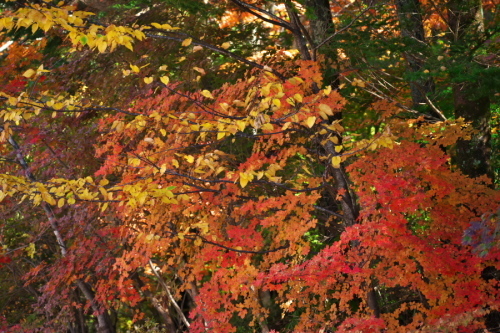 a0263109_17481734.jpg
