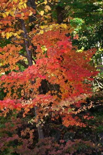 a0263109_17483906.jpg