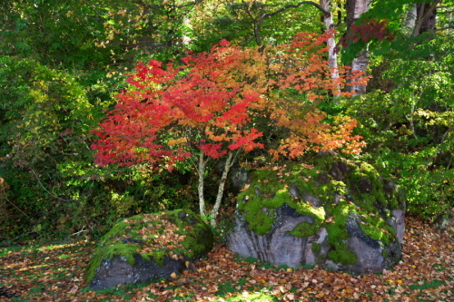 a0263109_17484027.jpg
