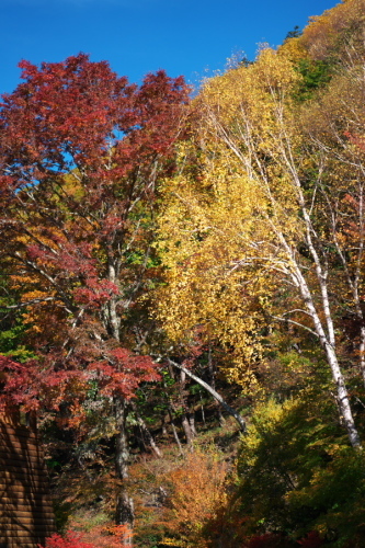 a0263109_17484092.jpg