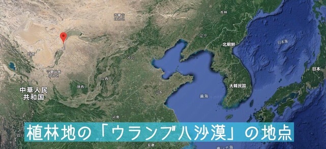 ウランブハ砂漠にスナナツメを植えていただきました!!_c0180209_00491723.jpeg
