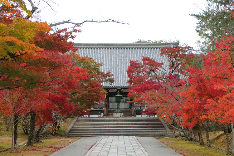 紅葉の御室仁和寺 境内 前編 memory of kyotolife 紅葉の御室仁和寺 境内 前編 memory of kyotolife