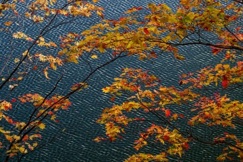 八幡平へ_c0077531_22101778.jpg
