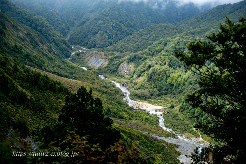 白馬 北尾根高原（８）_d0108132_23070123.jpg