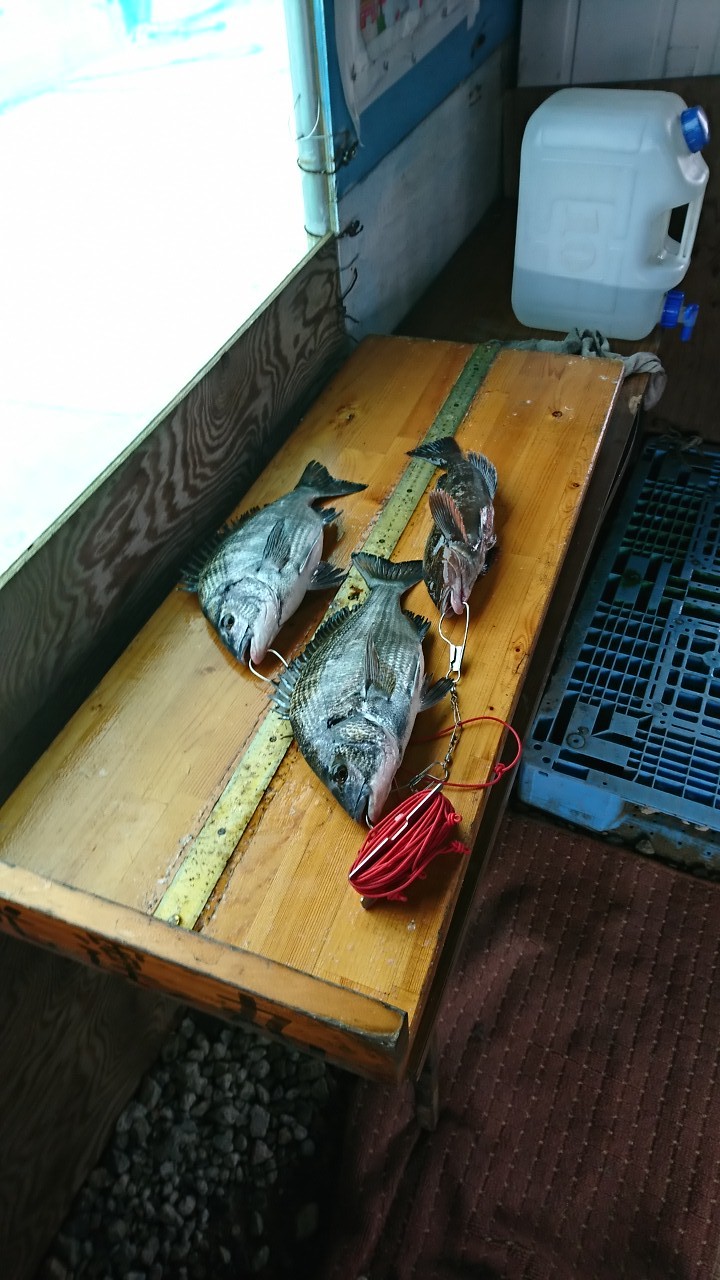 Fw:チーム銀鱗へ_b0128238_13295796.jpg