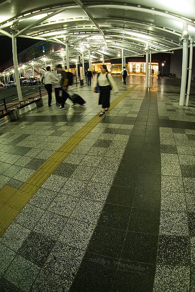 a0134950_23395771.jpg