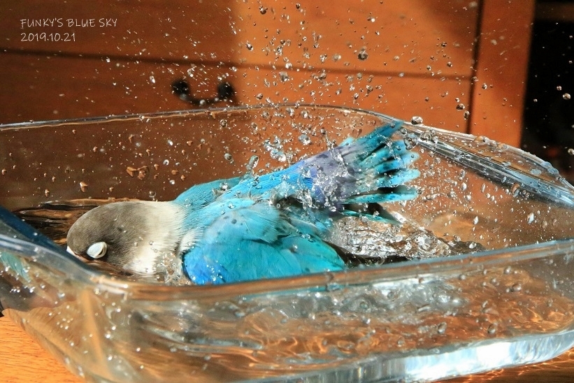 c0145250_11322156.jpg