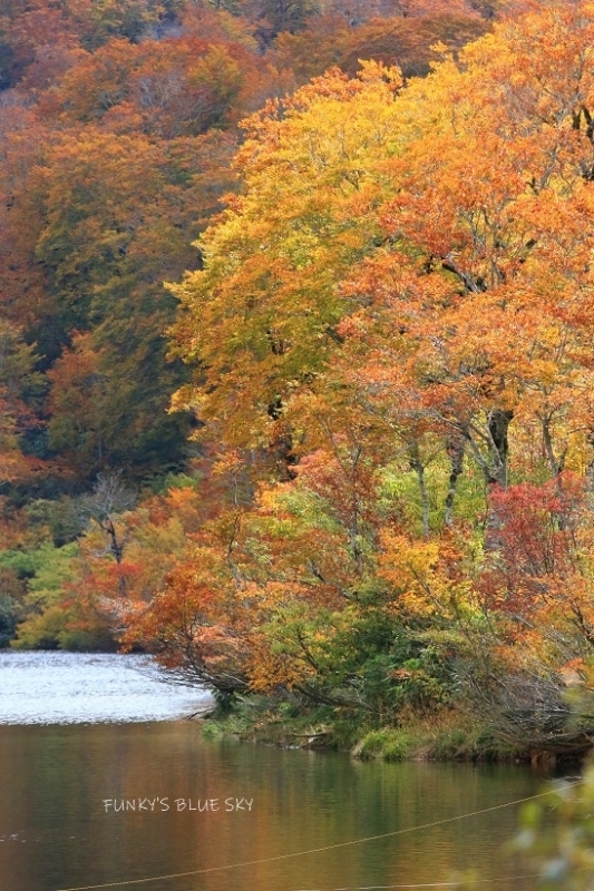 c0145250_11432110.jpg
