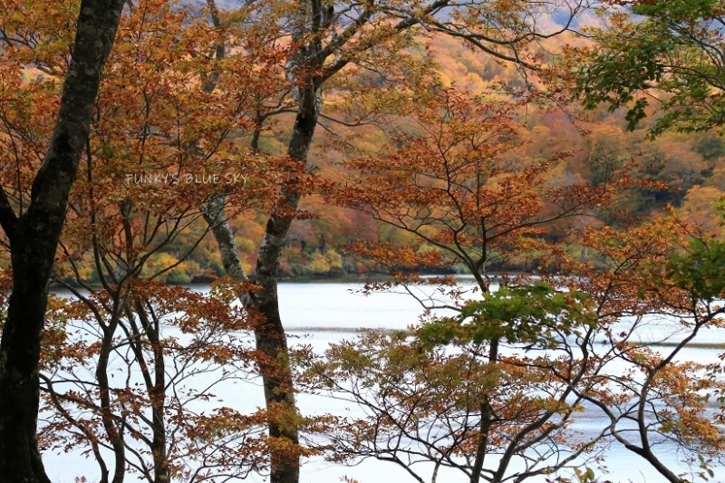 c0145250_14372950.jpg