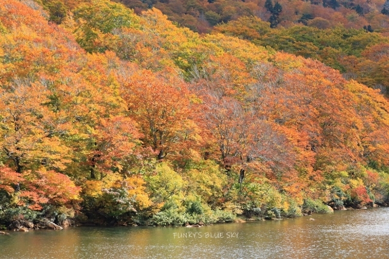 c0145250_14374187.jpg