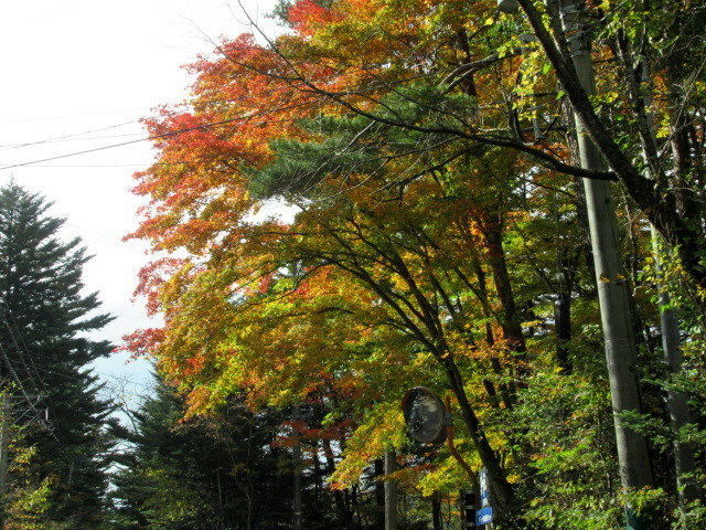 f0236260_19204617.jpg