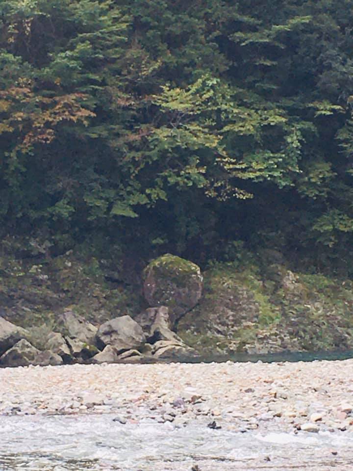 水の女神をめぐる②ー天川大弁財天ー_a0020162_21555248.jpg