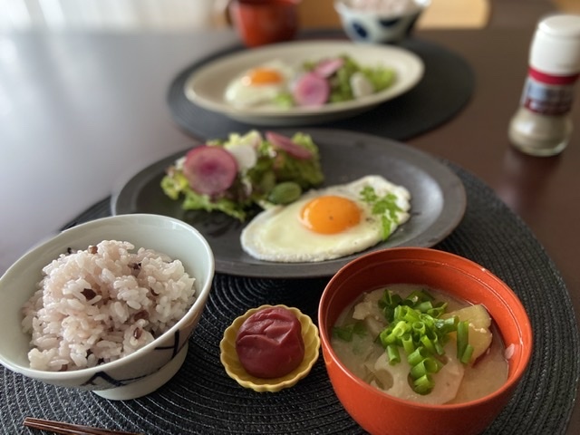マイクロきゅうりをご存知ですか?_d0327373_08072352.jpeg