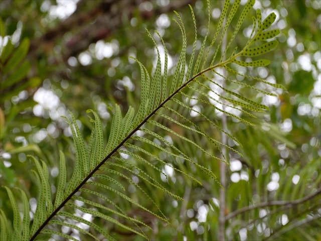 a0067578_22495674.jpg