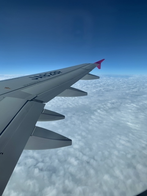d0339681_17564661.jpg