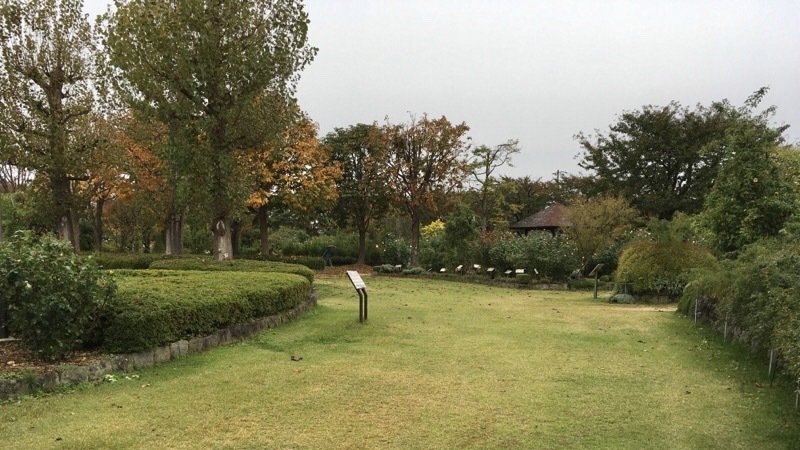 長野、一本木公園_f0253789_16581959.jpeg