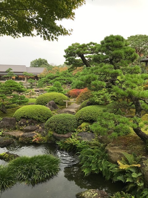 日本庭園 由志園_f0204295_16431246.jpg